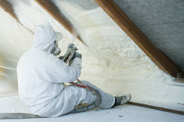 Professional Insulation Removal & Installation in Dalton, PA